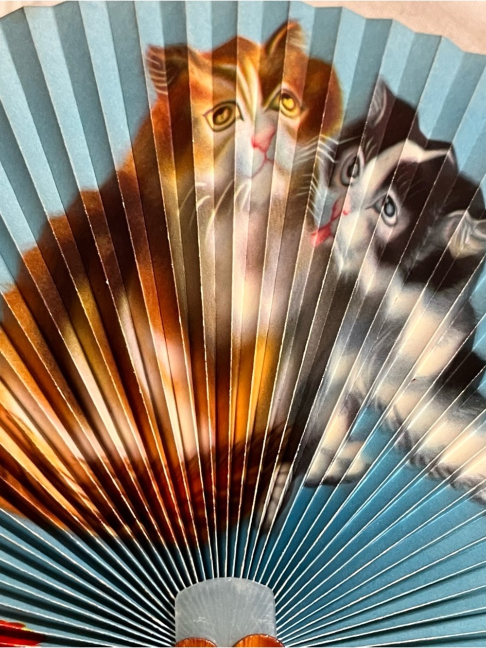 Handheld Paper Fan with Cat & Floral Design - Blue - Picture 3 of 7